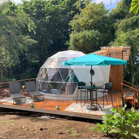 ホテル Manta Soul Jungle Geodome ケアラケクア  エクステリア 写真