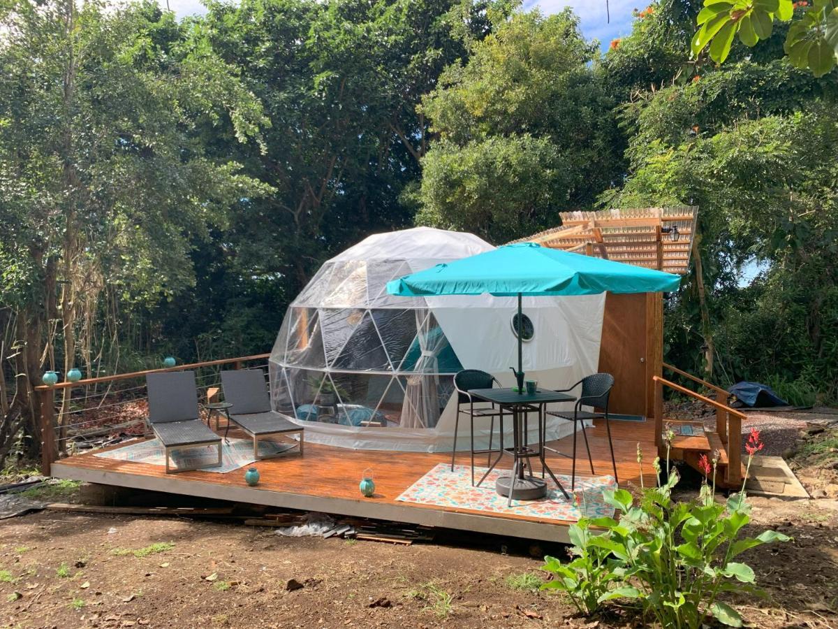 ホテル Manta Soul Jungle Geodome ケアラケクア  エクステリア 写真